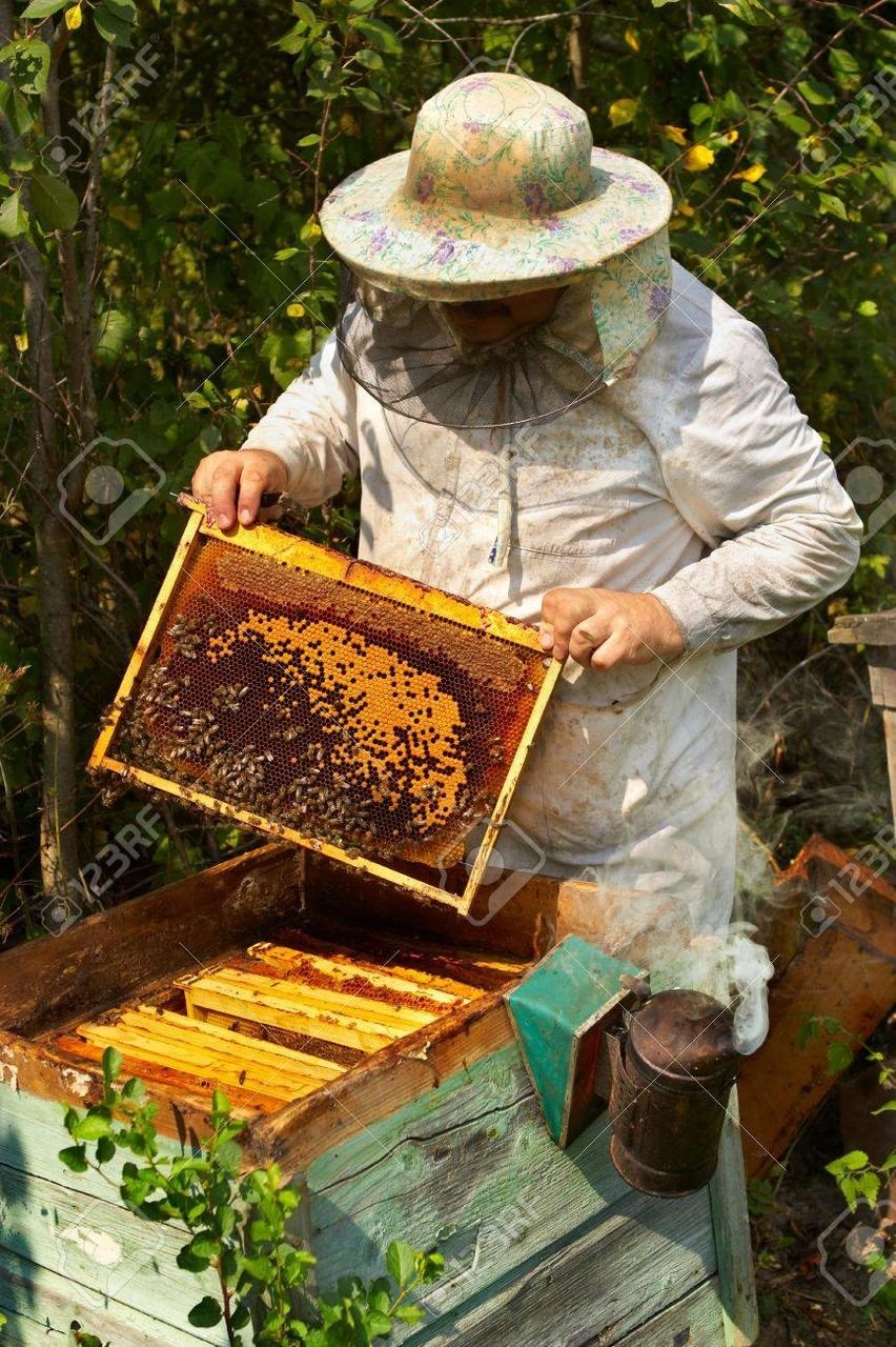 Пчеловод на пасеке