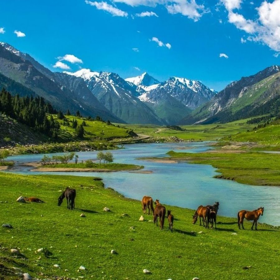Ферганская Долина природа Узбекистан