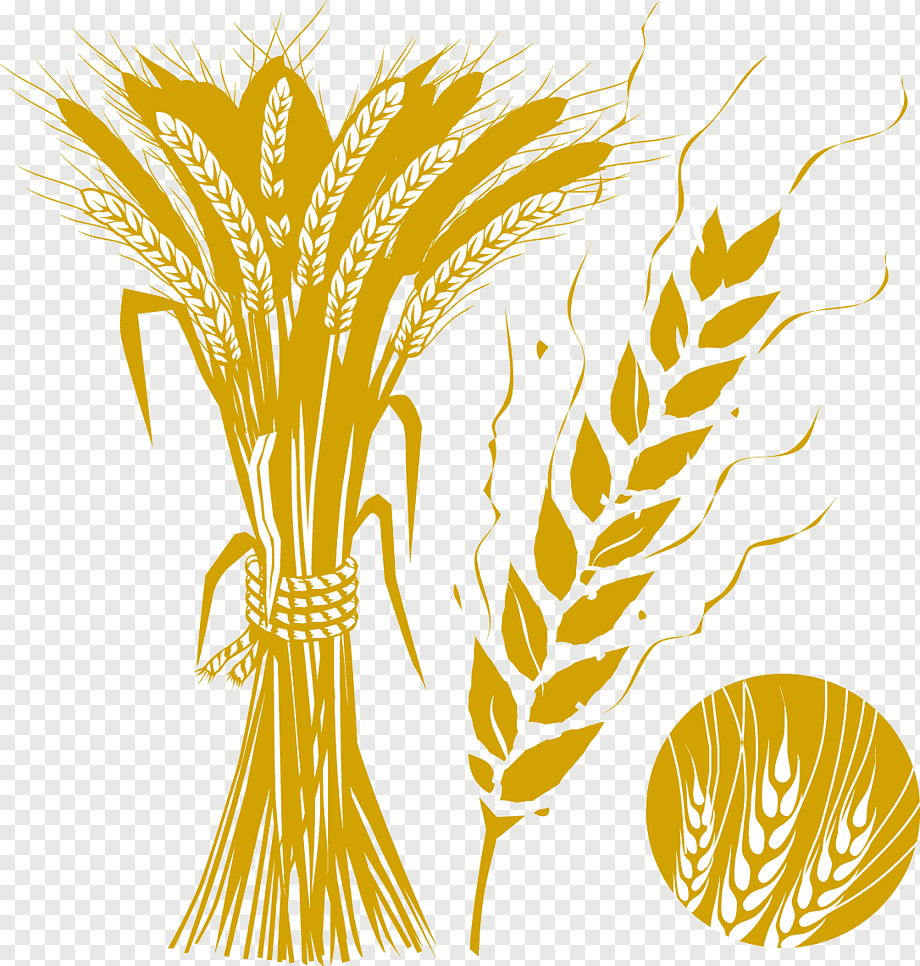 Стилизованный Колос пшеницы