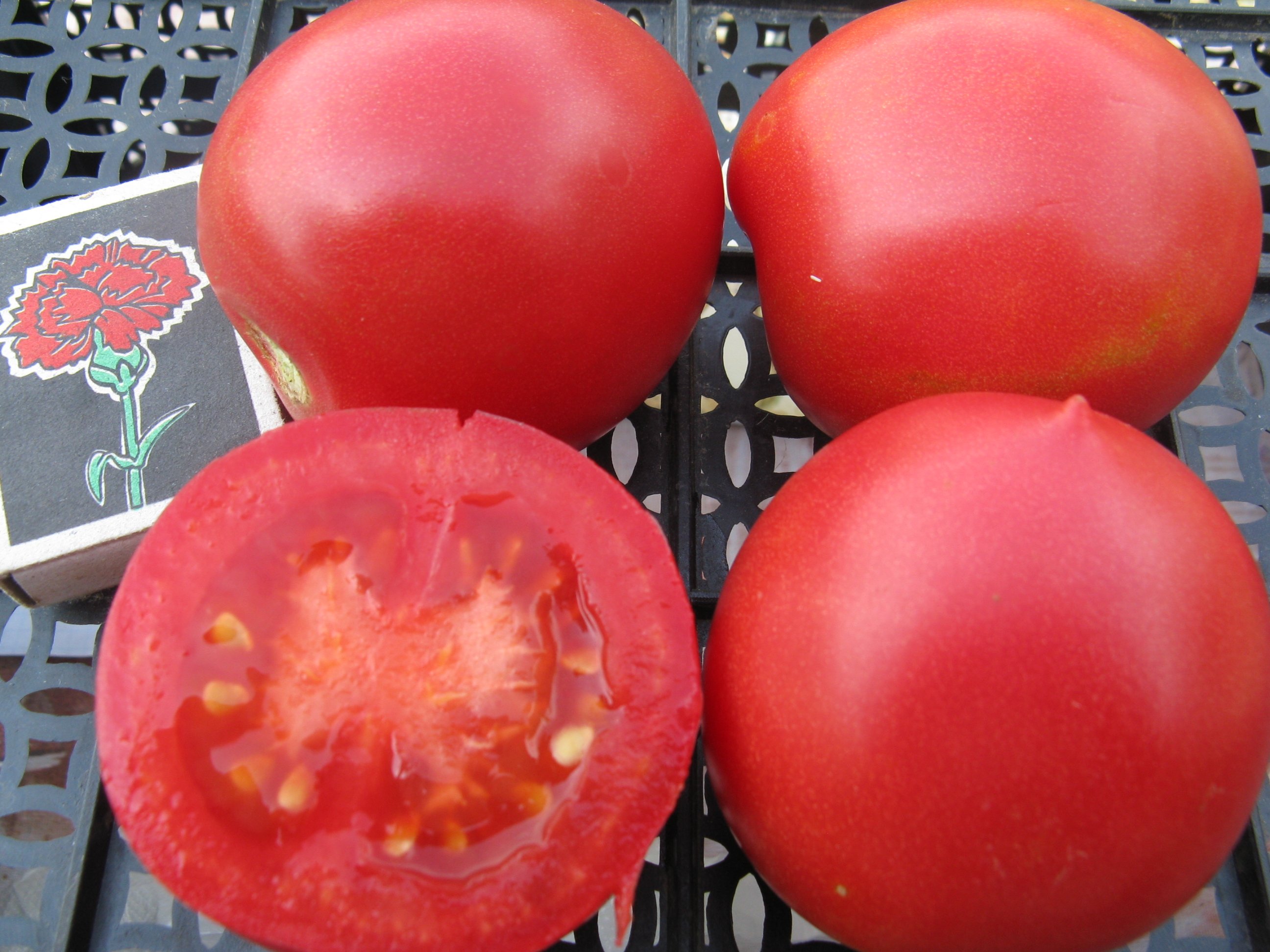 Семена томатов форум