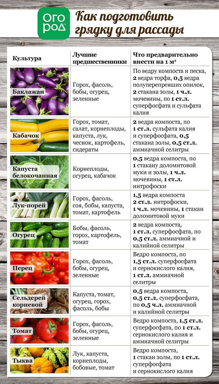 Таблица рассады овощей для высадки в грунт