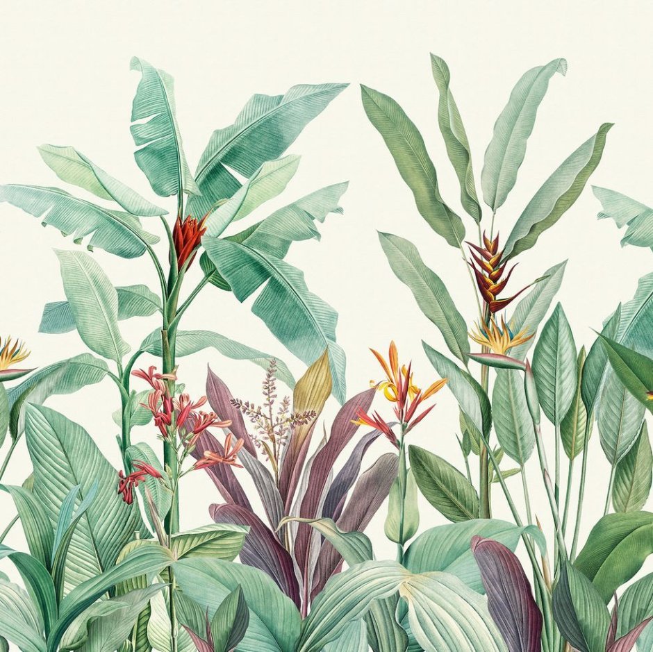 Тропические растения
