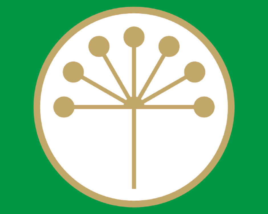 Символ Башкирии цветок курая