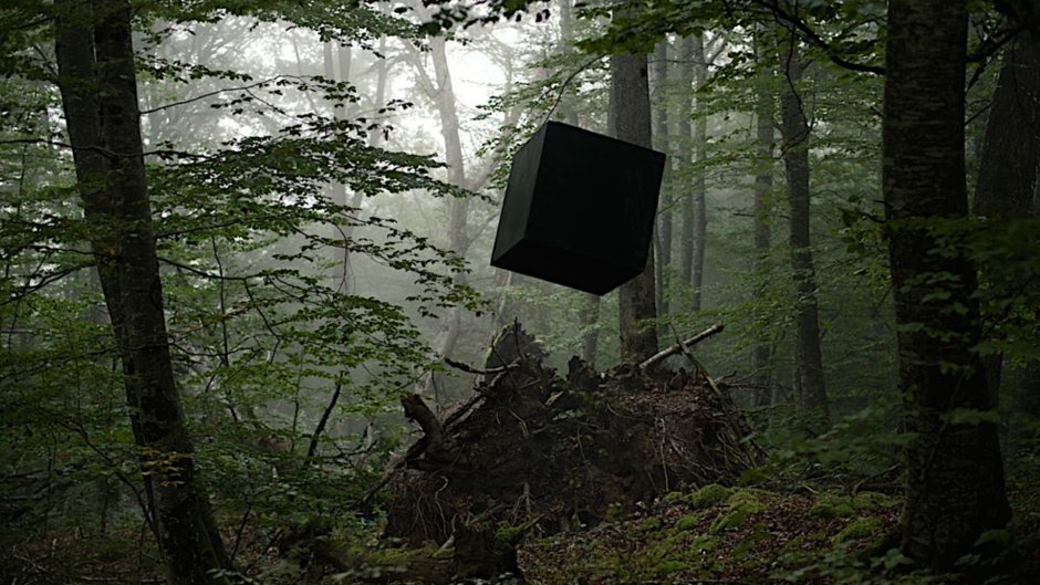 Куб в лесу