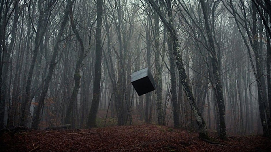 Куб в лесу