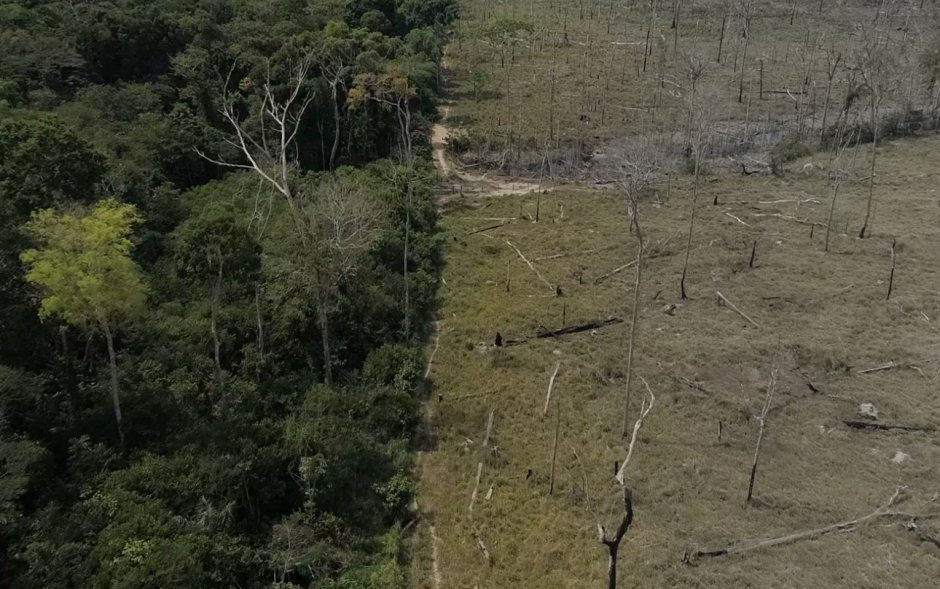 Вырубка тропических лесов в Бразилии