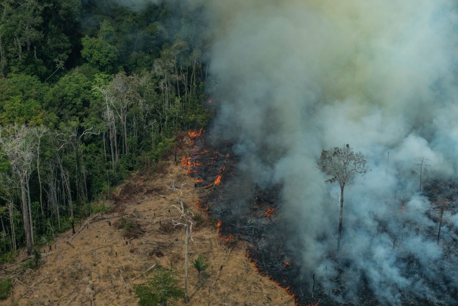 Тропические леса Амазонии уничтожение