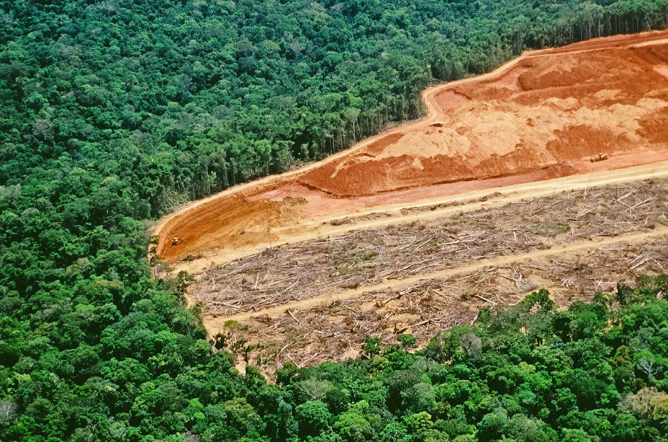 Вырубка тропических лесов в Бразилии