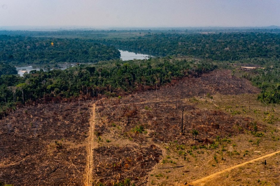 Вырубка лесов Амазония Бразилия