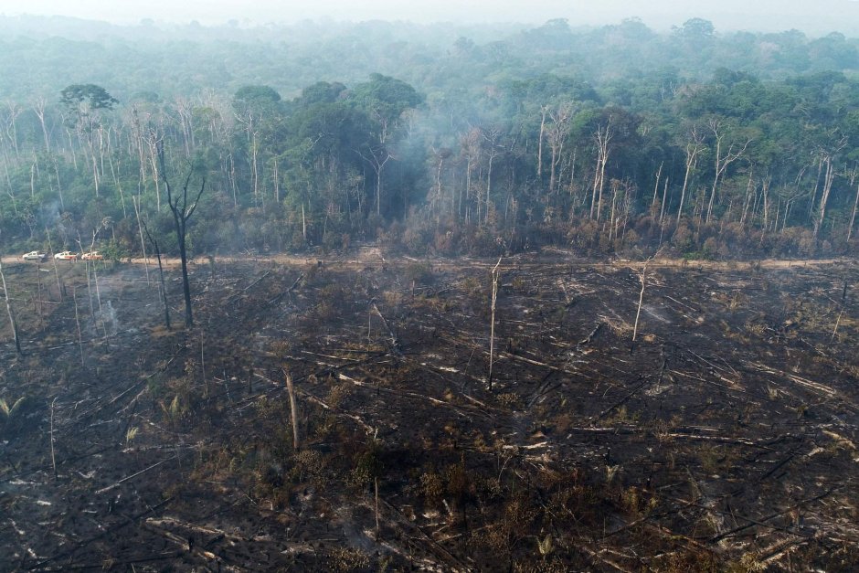 Тропические леса Амазонии уничтожение