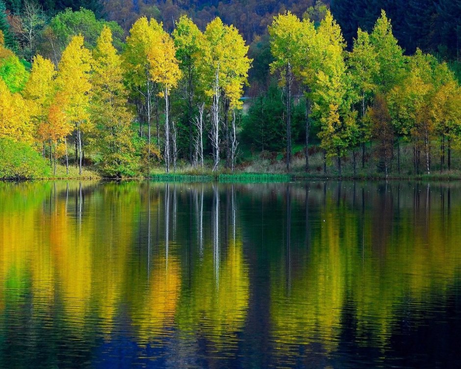 Озеро ранней осенью