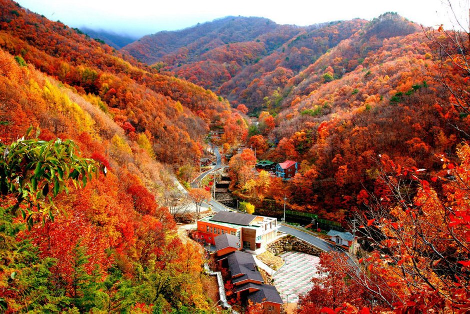 Южная Корея Сеул осенью