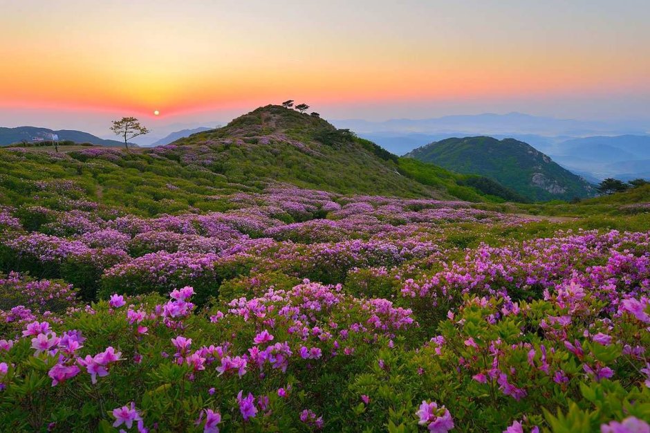 Горы Республика Южной Кореи Халасан