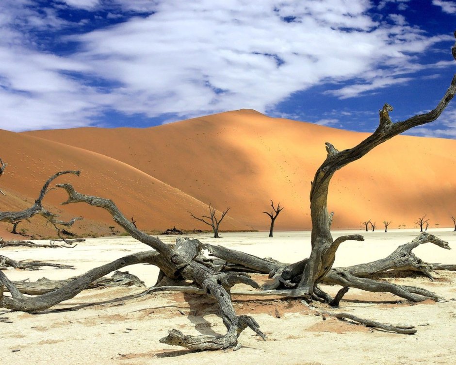 Оазис в пустыне Намиб