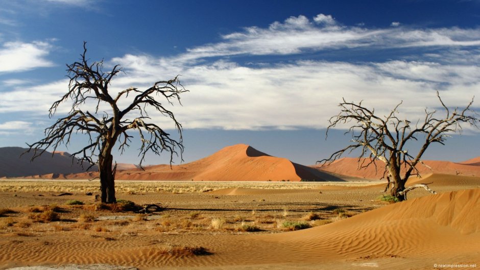 Пустыня Калахари климат