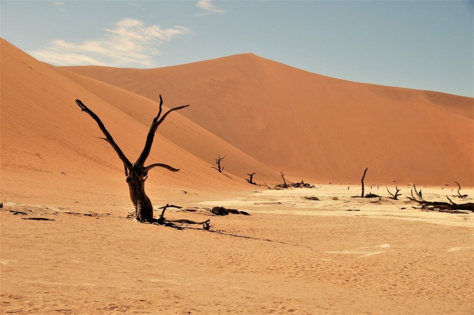 Полупустыня Намиб Африке