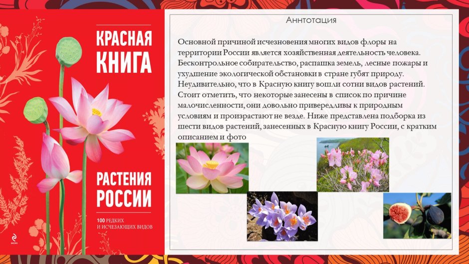 Цветы красной книги России