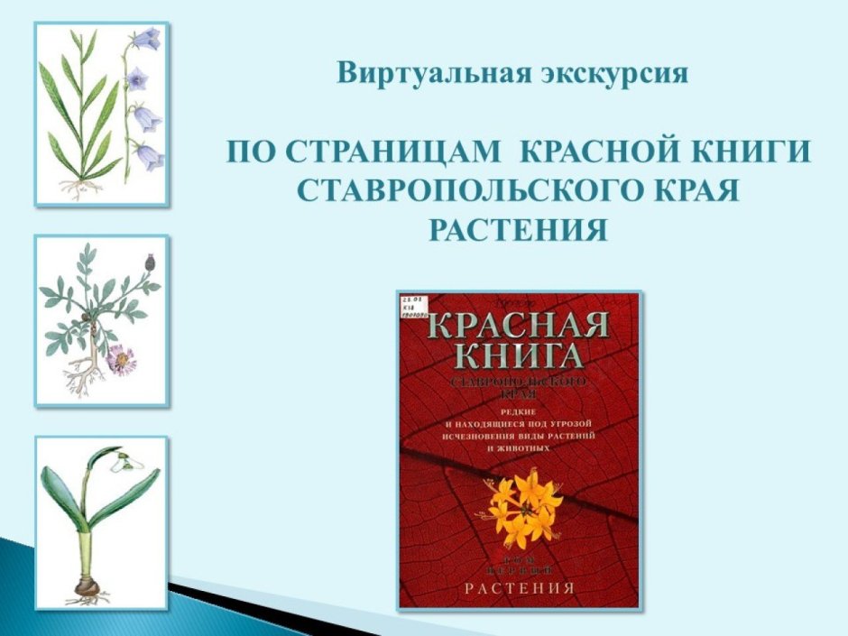 Красная книга Ставропольского края растения