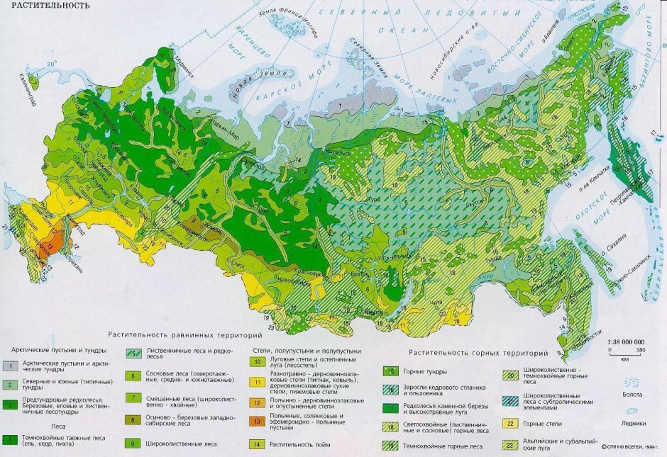 Карта типов леса России