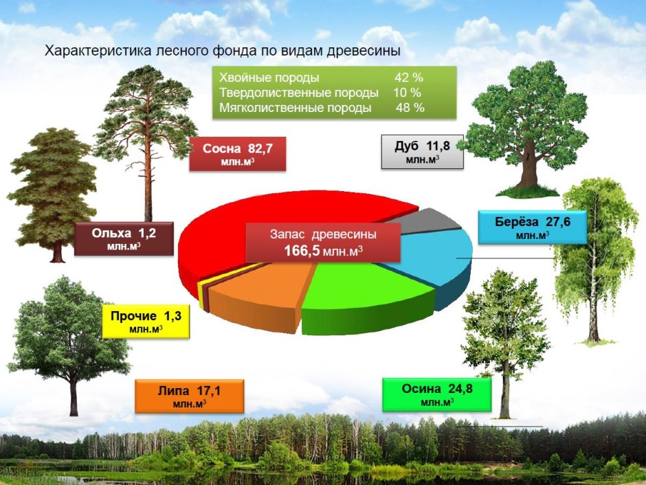Схема лесных ресурсов в России