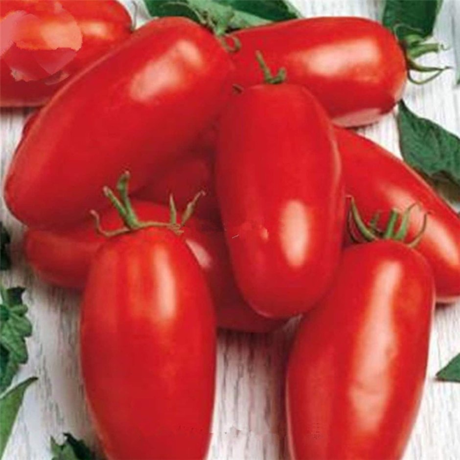 Лучшие перцевидные томаты сорта