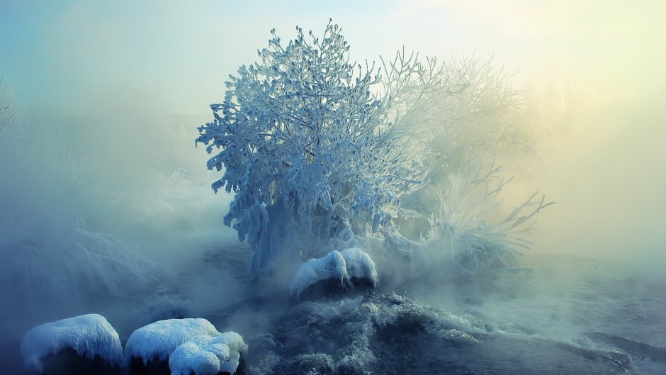 Природа в холодных тонах
