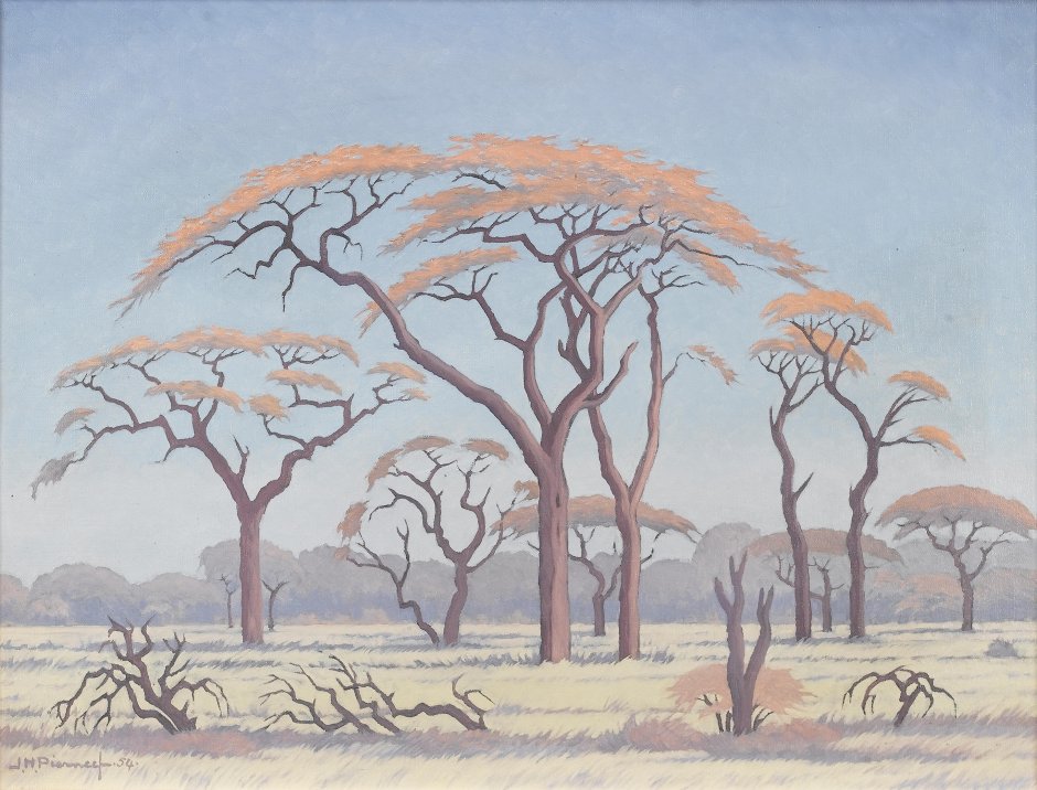 Дерево в Африке картина