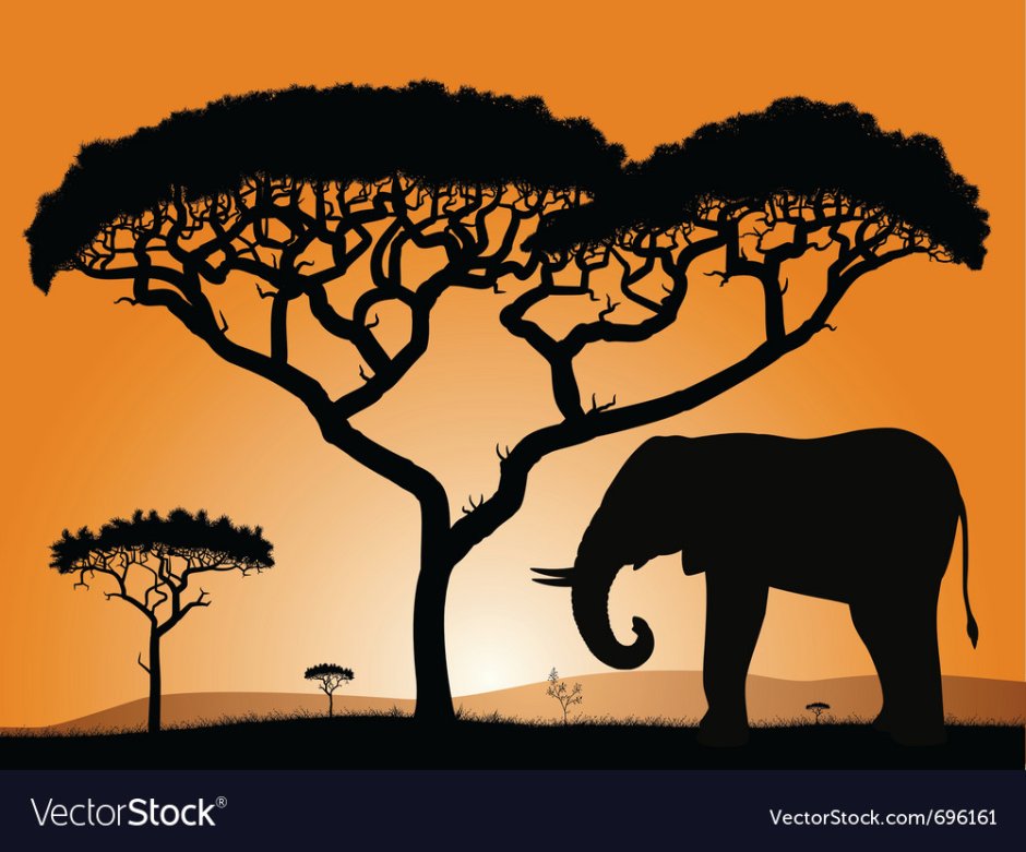 Силуэт африканских животных и растений