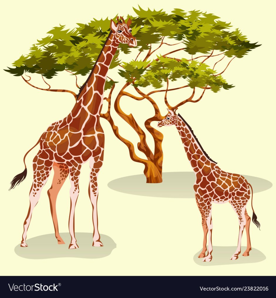 Жираф рисунок для детей на фоне деревьев