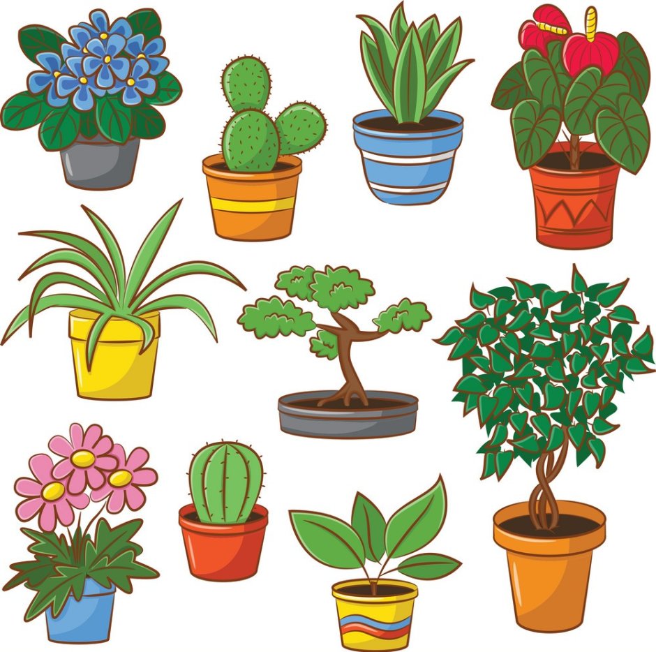 Комнатные растения для малышей
