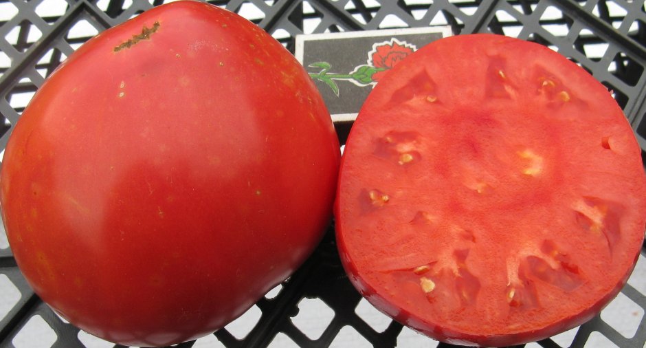Высокорослые помидоры