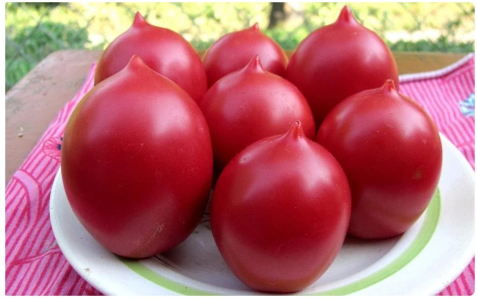 Кистевые томаты высокоурожайные
