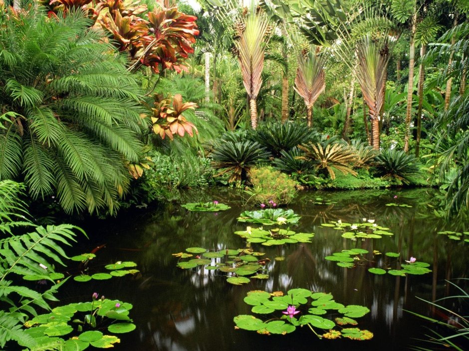 Тропический Ботанический сад Гавайи (