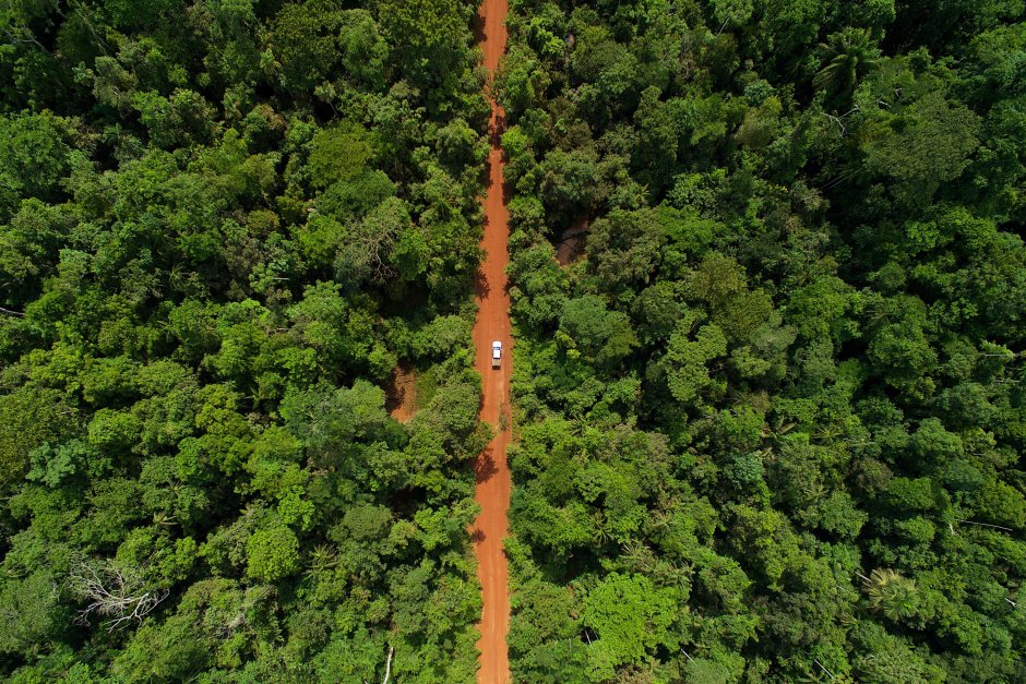 Тропические леса Латинской Америки