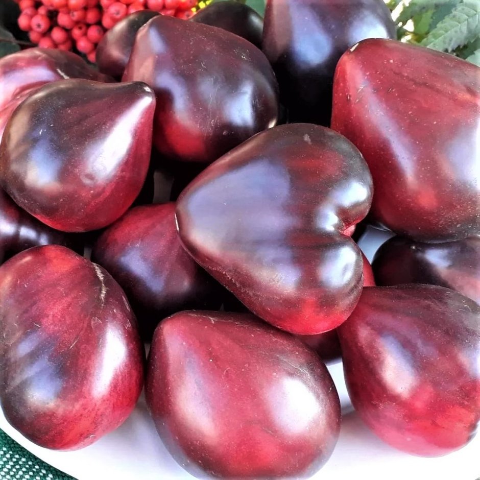 Амурский штамбовый томат