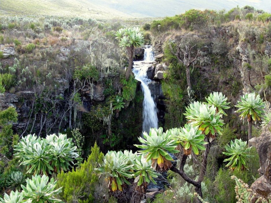 Гора Кения (биосферный резерват)