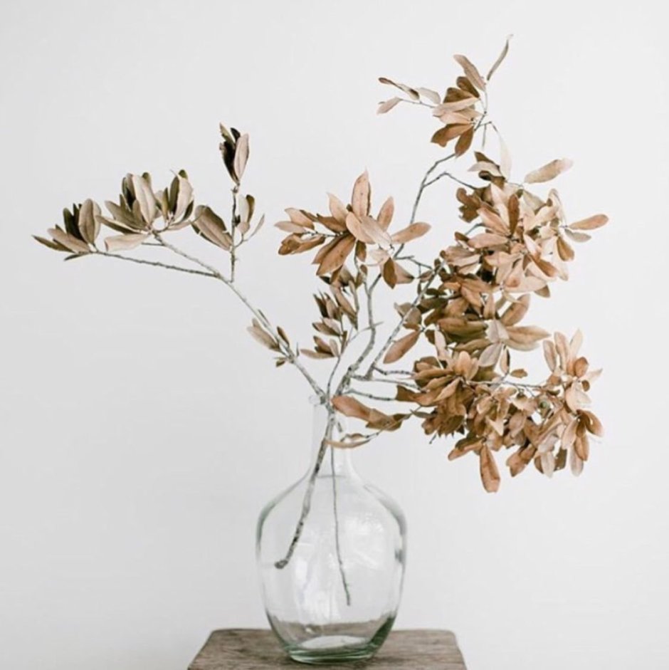 Прозрачная ваза с сухими цветами