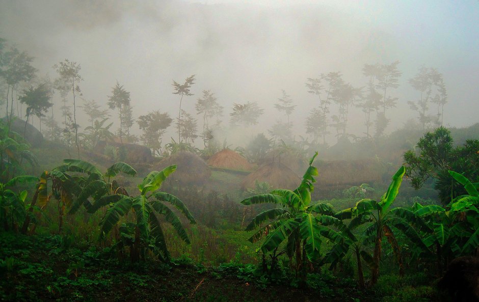Папуа новая Гвинея климат