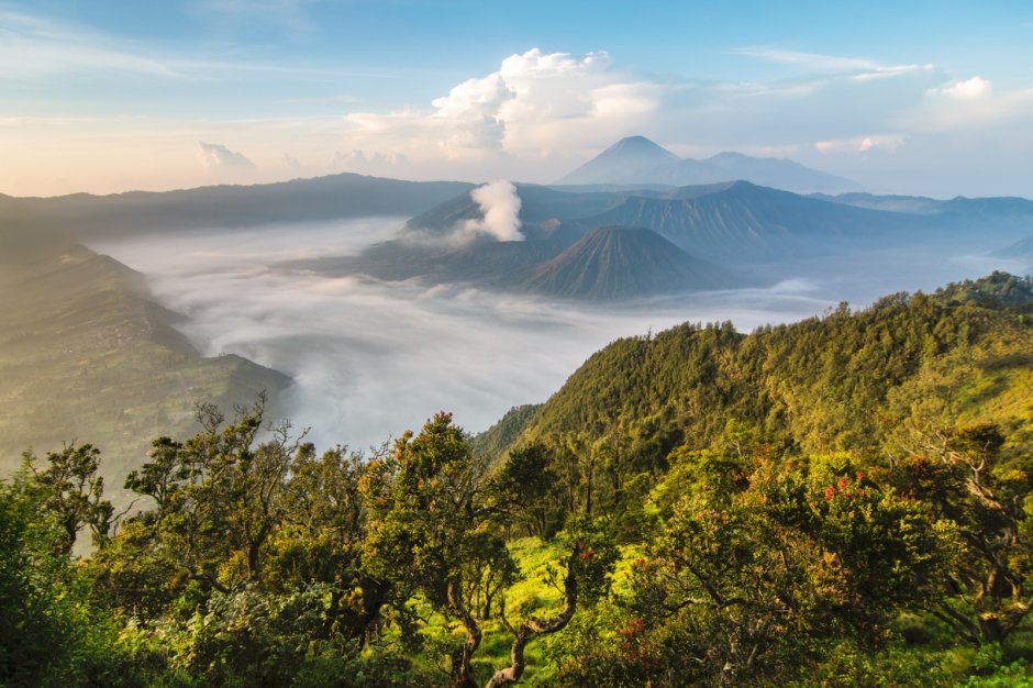 Национальный парк Бромо-Тенггер-семеру, Индонезия