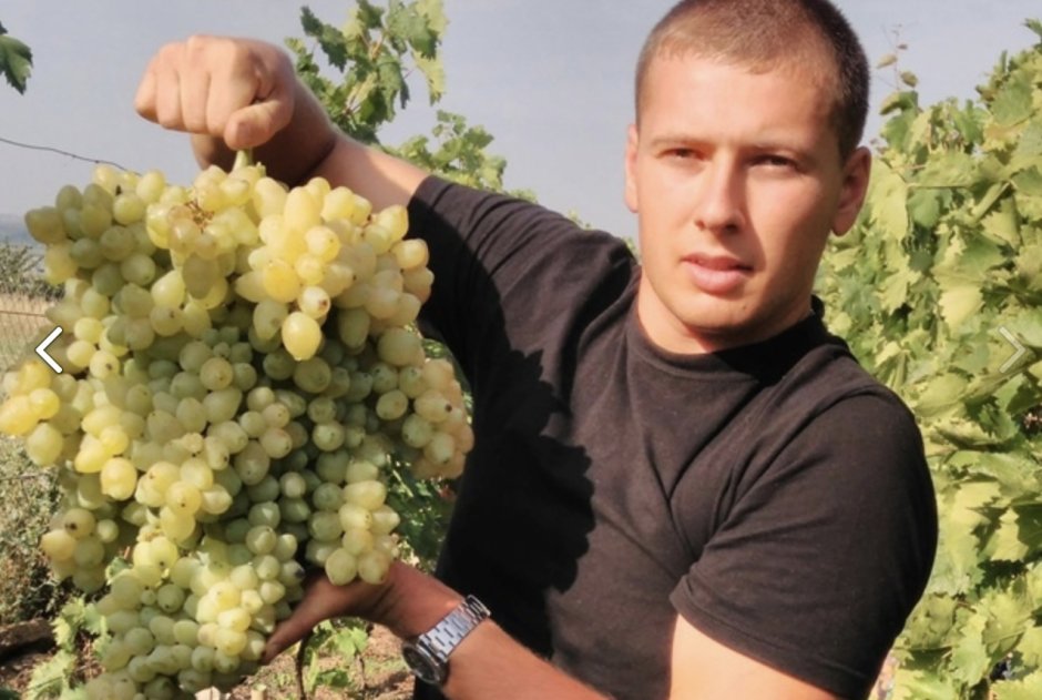 Руслан Панченко виноград