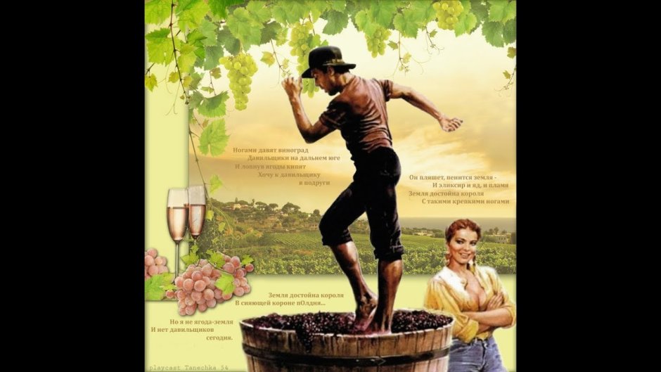 Адриано Челентано топчет виноград