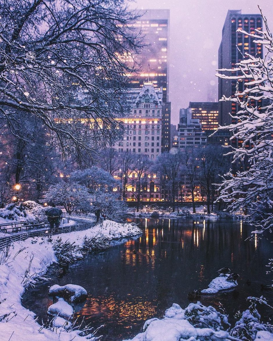 Централ парк в Нью-Йорке в Рождество