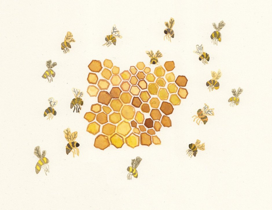 Пчелиные соты акварель