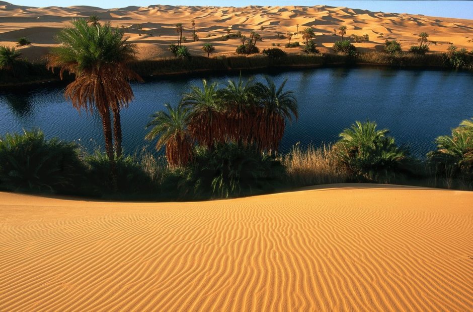 Оазис в сахаре пустыне