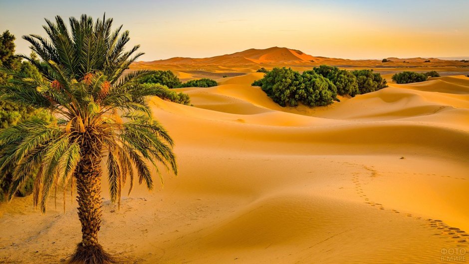 Марокко пустыня и Оазис