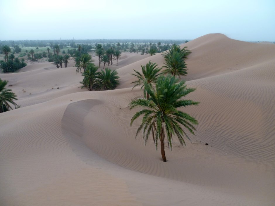Марокко фото дюны