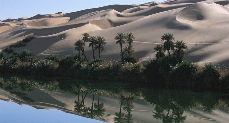 Мираж оазиса в пустыне