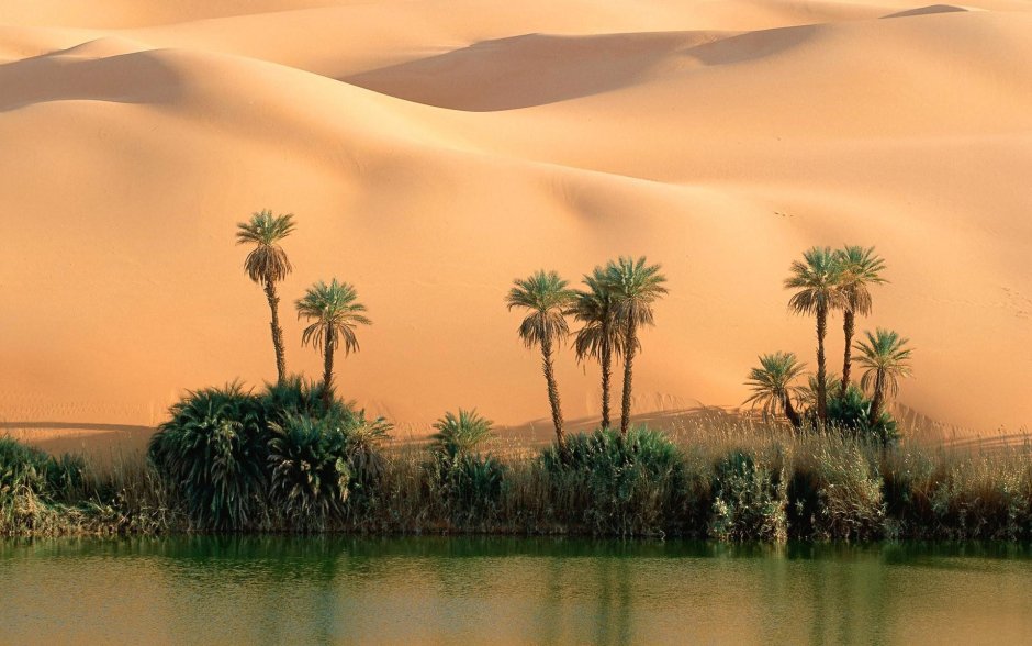 Оазис в пустыне