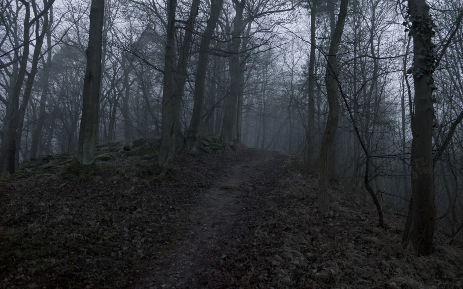 Мрачные леса (2019) фильм