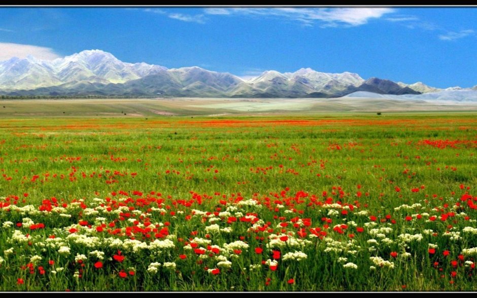 Гора Сарыарка в Казахстане